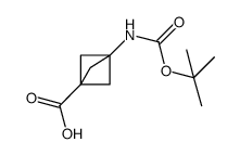 3-((tert-butoxycarbonyl)amino)bicyclo[1.1.1]pentane-1-carboxylic acid picture