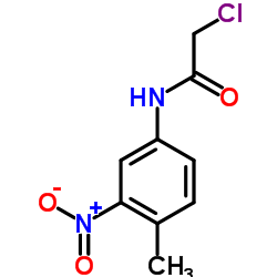 2-Chloro-N-(4-methyl-3-nitrophenyl)acetamide Structure