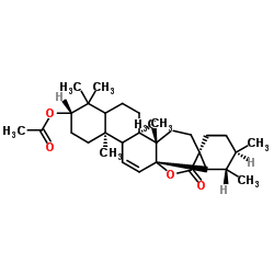 3-乙酰氧基-11-乌苏烯-28,13-内酯图片
