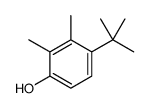 4-tert-butyl-2,3-dimethylphenol Structure