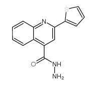 2-THIOPHEN-2-YL-QUINOLINE-4-CARBOXYLICACIDHYDRAZIDE Structure