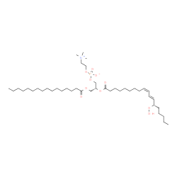 1-Palmitoyl-2-13(S)-HpODE-sn-glycero-3-PC结构式
