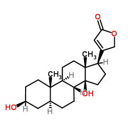 Odorigenin picture