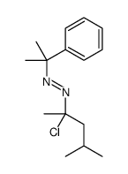 (2-chloro-4-methylpentan-2-yl)-(2-phenylpropan-2-yl)diazene Structure