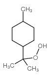 Hydroperoxide,1-methyl-1-(4-methylcyclohexyl)ethyl picture