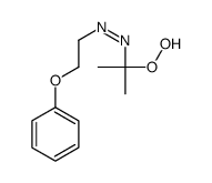 2-hydroperoxypropan-2-yl(2-phenoxyethyl)diazene结构式