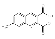 7-甲基喹啉-2,3-二羧酸结构式