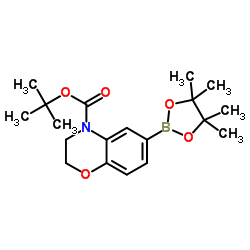 6-(4,4,5,5-四甲基-1,3,2-二噁硼烷-2-基)-2H-苯并[b][1,4]噁嗪-4(3H)-羧酸叔丁酯结构式