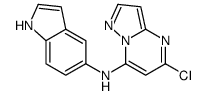 5-Chloro-N-(1H-indol-5-yl)pyrazolo[1,5-a]pyrimidin-7-amine Structure