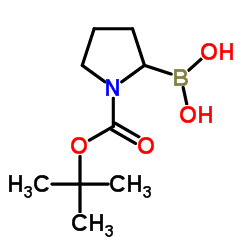 N-叔丁氧羰基吡咯烷-2-硼酸结构式