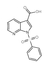 1-苯磺酰基-1H-吡咯并[2,3-B]吡啶-3-羧酸结构式