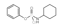 phenyl cyclohexylphosphoramidochloridate Structure