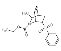 ethyl 6-(benzenesulfonyl)-8-methyl-7-azabicyclo[2.2.2]oct-2-ene-7-carboxylate结构式