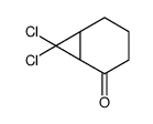 7,7-dichlorobicyclo[4.1.0]heptan-5-one Structure