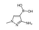 3-氨基-1-甲基-1H-吡唑-4-基硼酸结构式