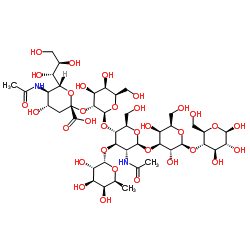 Sialyl Lex penta structure