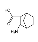 Bicyclo[2.2.1]heptane-2-carboxylic acid, 3-amino-, (1R,2S,3R,4S)- (9CI) Structure