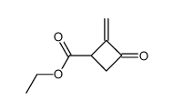 Cyclobutanecarboxylic acid, 2-methylene-3-oxo-, ethyl ester (9CI) Structure