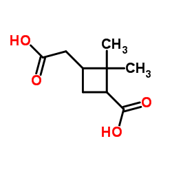 pinic acid Structure