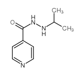 N'-propan-2-ylpyridine-4-carbohydrazide picture