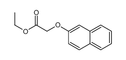 (2-naphthyloxy)acetic acid ethyl ester picture