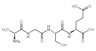 L-ALA-GLY-SER-GLU structure