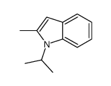 1H-Indole,2-methyl-1-(1-methylethyl)-(9CI) structure