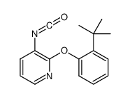 2-(2-tert-butylphenoxy)-3-isocyanatopyridine Structure