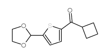 CYCLOBUTYL 5-(1,3-DIOXOLAN-2-YL)-2-THIENYL KETONE结构式