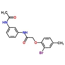 N-(3-Acetamidophenyl)-2-(2-bromo-4-methylphenoxy)acetamide Structure