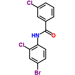 N-(4-Bromo-2-chlorophenyl)-3-chlorobenzamide Structure