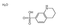 1,2,3,4-tetrahydroquinoline-7-sulfonic acid,hydrate结构式