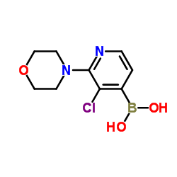 3-氯-2-(4-吗啉)吡啶-4-硼酸结构式