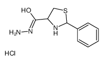 2-phenyl-1,3-thiazolidine-4-carbohydrazide,hydrochloride结构式