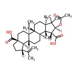 乙酸茶酸酯图片