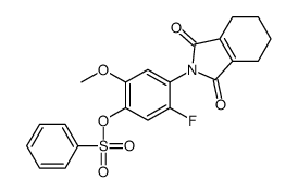 [4-(1,3-dioxo-4,5,6,7-tetrahydroisoindol-2-yl)-5-fluoro-2-methoxyphenyl] benzenesulfonate结构式