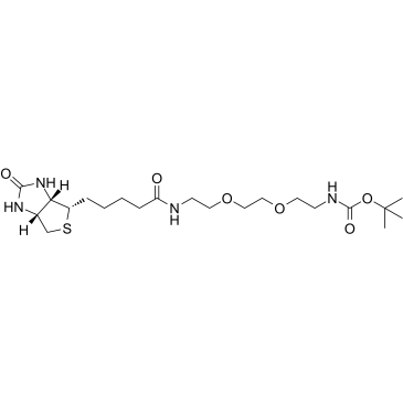 Biotin-PEG2-NH-Boc structure