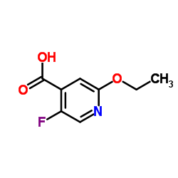 2-Ethoxy-5-fluoroisonicotinic acid picture