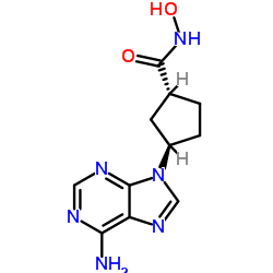 (1R,3R)-3-(6-Amino-9H-purin-9-yl)-N-hydroxycyclopentanecarboxamide Structure