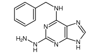 6-benzylamino-2-hydrazinopurine Structure