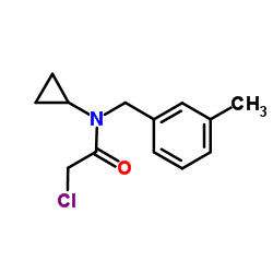 2-Chloro-N-cyclopropyl-N-(3-methylbenzyl)acetamide结构式