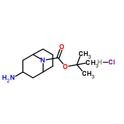2-Methyl-2-propanyl 3-amino-9-azabicyclo[3.3.1]nonane-9-carboxylate hydrochloride (1:1) Structure