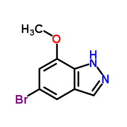 5-bromo-7-methoxy-1H-indazole structure
