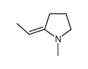 2-ethylidene-1-methylpyrrolidine结构式