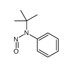 N-tert-butyl-N-phenylnitrous amide Structure