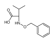 (2S)-3-methyl-2-(phenylmethoxyamino)butanoic acid Structure