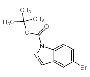 TERT-BUTYL 5-BROMO-3-METHYLPYRIDIN-2-YLCARBAMATE structure