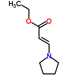 ethyl (2E)-3-pyrrolidin-1-ylacrylate picture