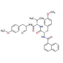 O-Methyl-N-(1-naphthoyl)-L-tyrosyl-N-[1-(4-methoxyphenyl)-3-oxo-2-propanyl]-L-valinamide结构式