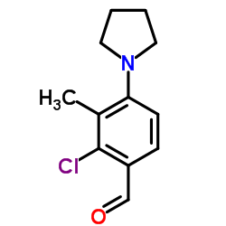 2-CHLORO-3-METHYL-4-PYRROLIDIN-1-YL-BENZALDEHYDE结构式